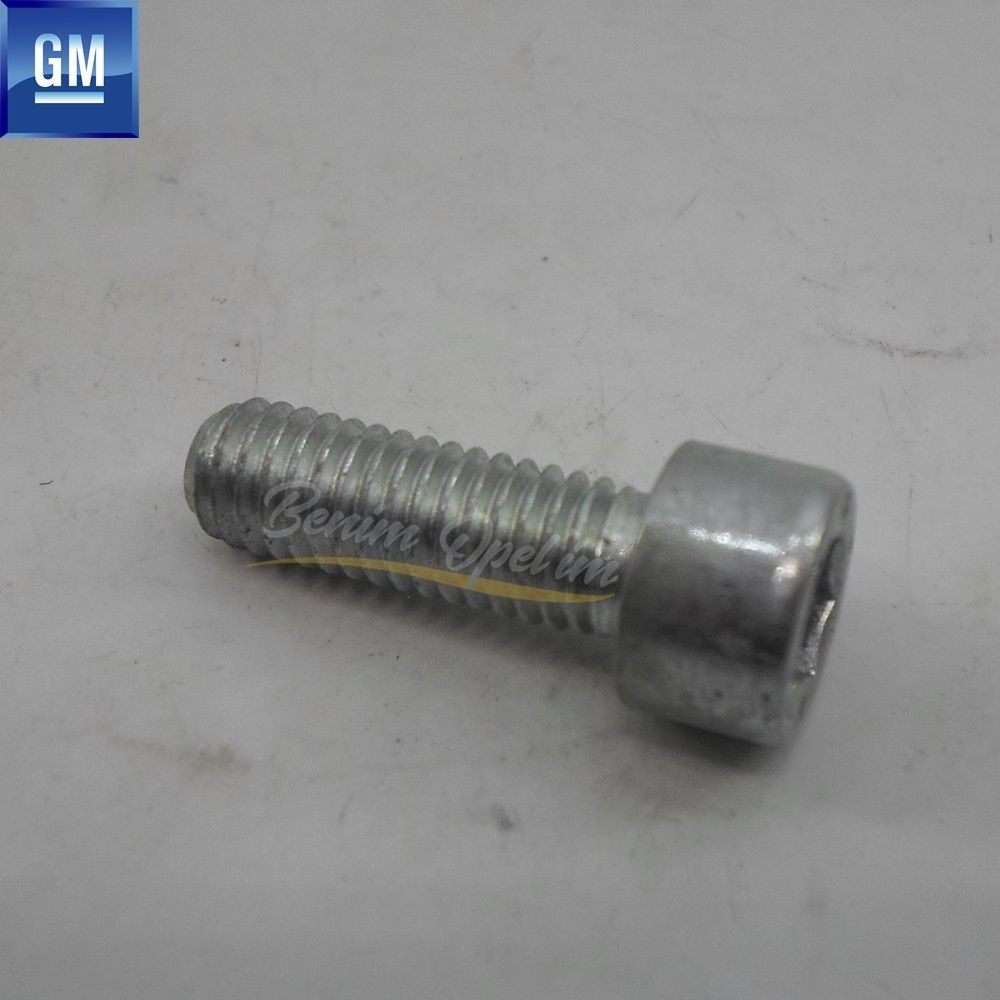 Alet Takımı Ürünleri | Abs Sensör Braketi Allen Civatası Blm. M6X18 GM Orijinal 2048989 - 11092872 | 2048989 | 