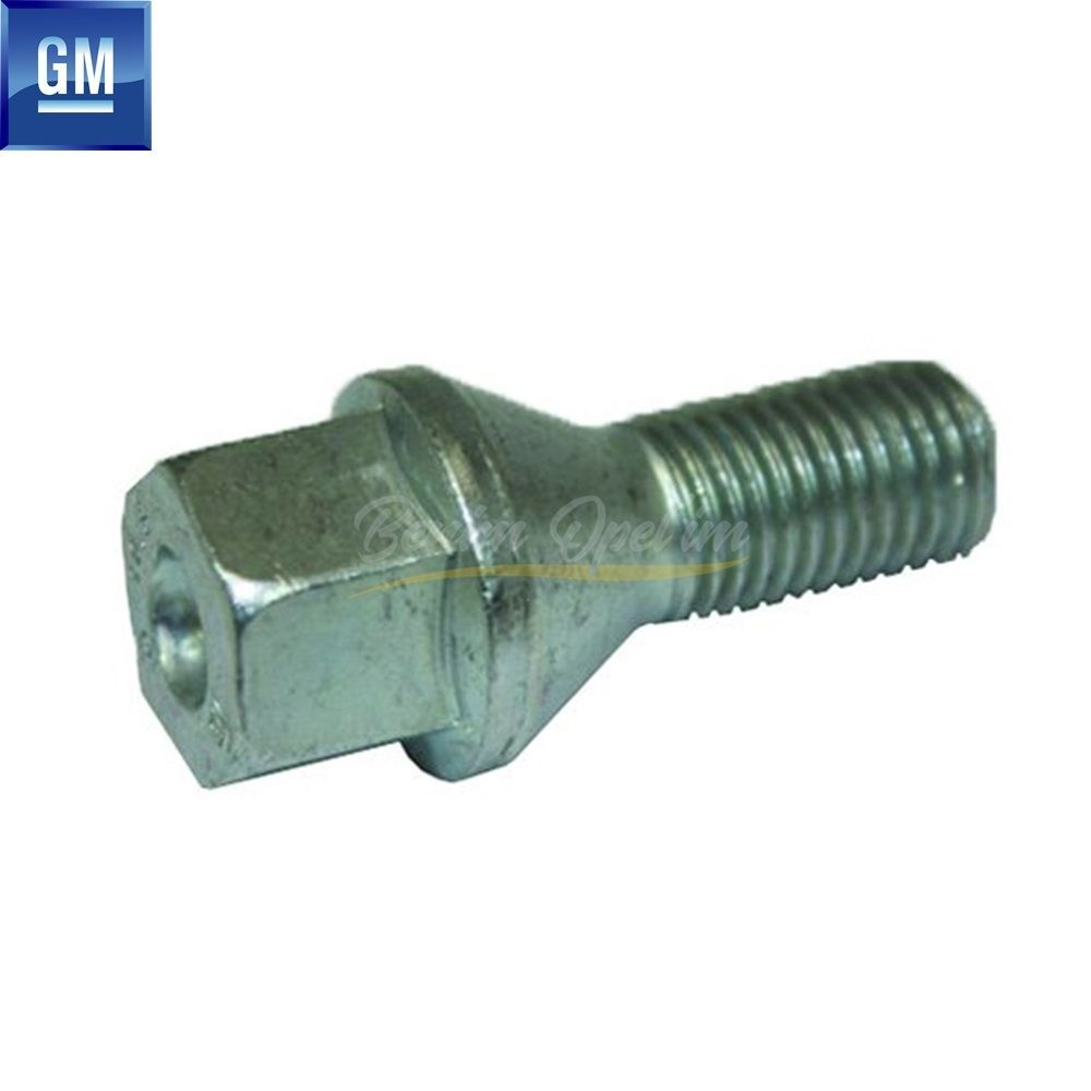 Dış Karoseri ve Kaporta | Altı Köşeli Bijon Saplama Vidası Gümüş M12 (17mm) GM Orijinal 1008504 - 90473457 | 1008504 | 