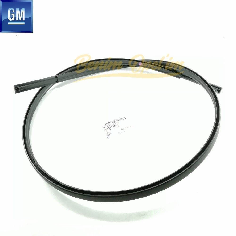Ayna,Kapı ve Cam | Chevrolet Aveo T300 HB Sol Tavan Çıtası (Kenar Lastik Fitil) GM Orijinal 96878541 | 96878541 | 