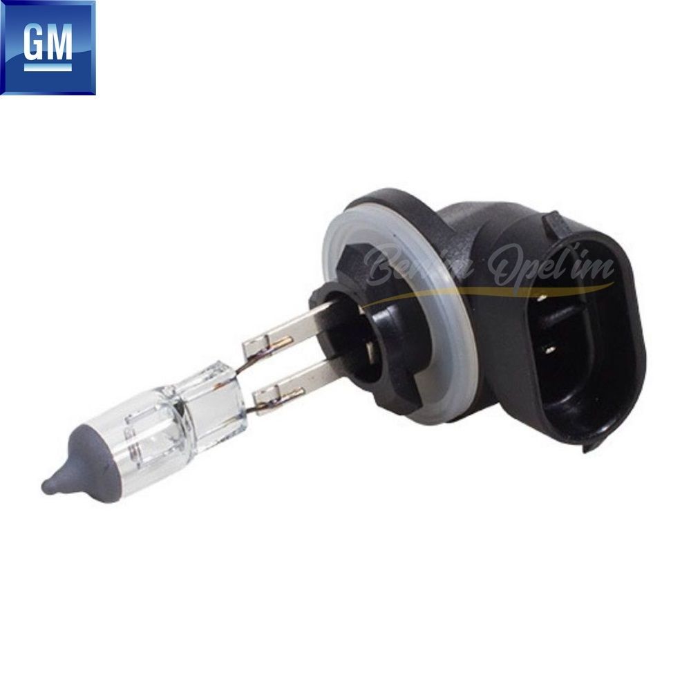 İç ve Dış Aydınlatma | Chevrolet Aveo T300, Spark M300 Ön Sis Lambası Ampulü GM Orijinal 13590792 | 13590792 | 