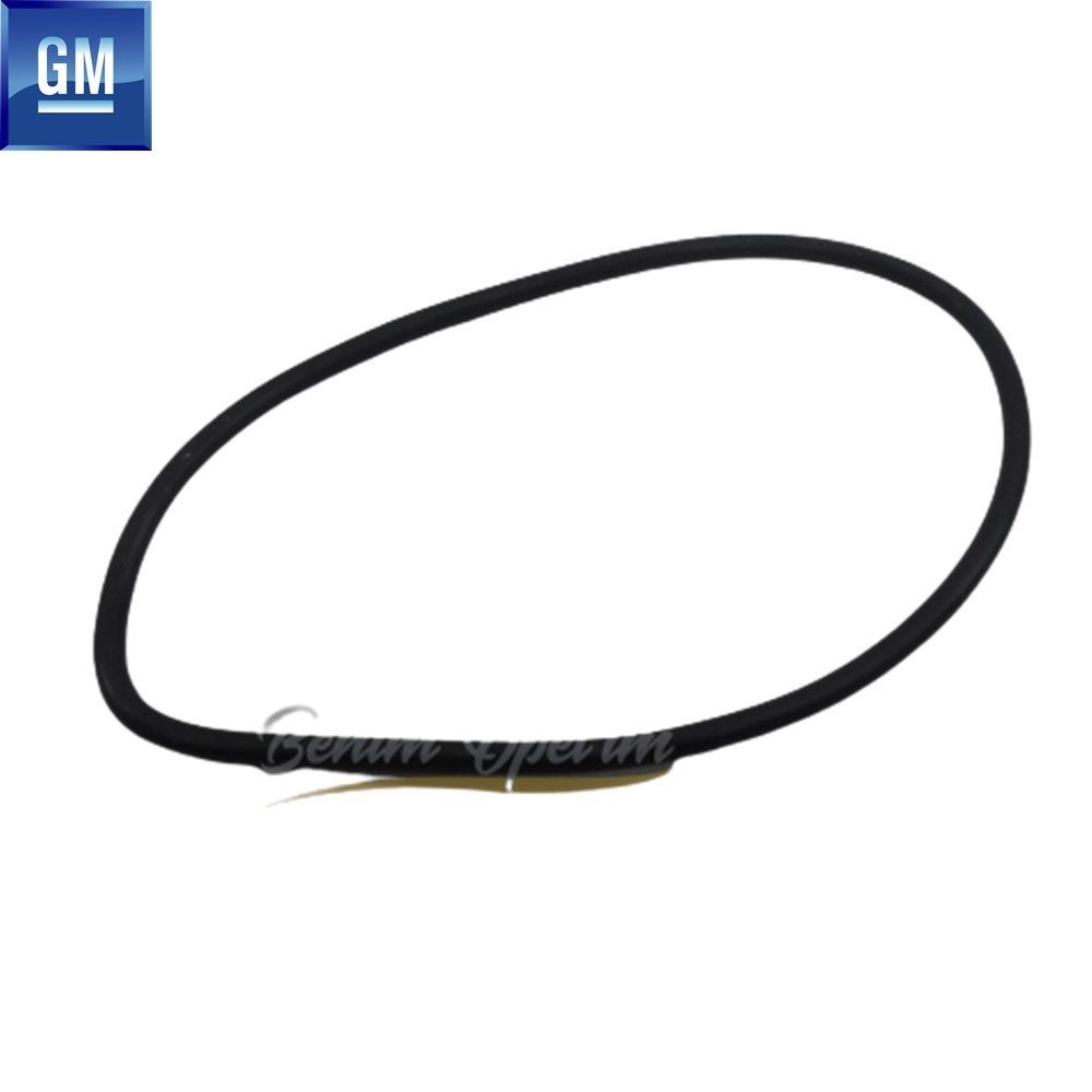 Mekanik Şanzıman | Chevrolet Captiva, Opel Antara Vites Kutu Gövdesi Giriş Mili Oringi (M67.95X2,62mm) GM Orijinal 19132943 - 4807082 | 19132943 | 