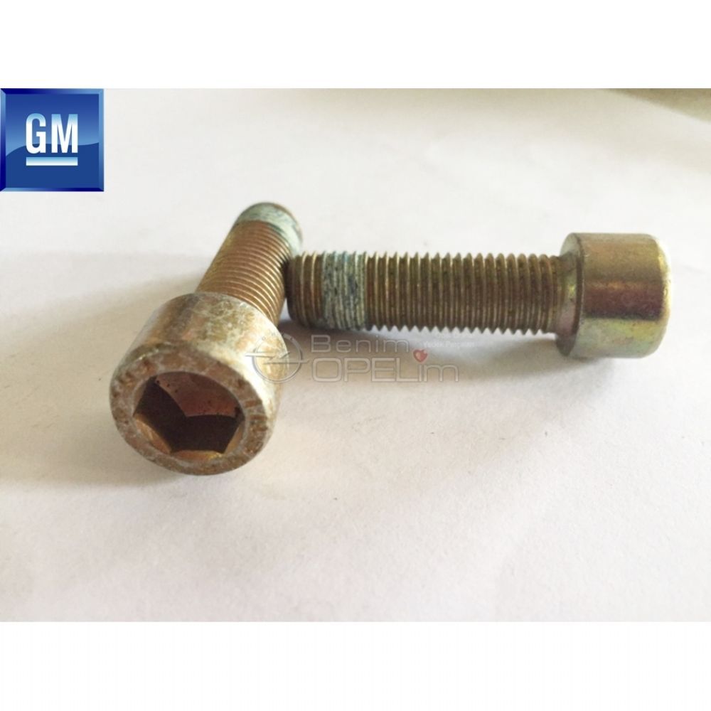 Alet Takımı Ürünleri | Dın10,9 Alyan Başlı Gömme M12X40 Civata GM Orijinal | KOD0089 | 