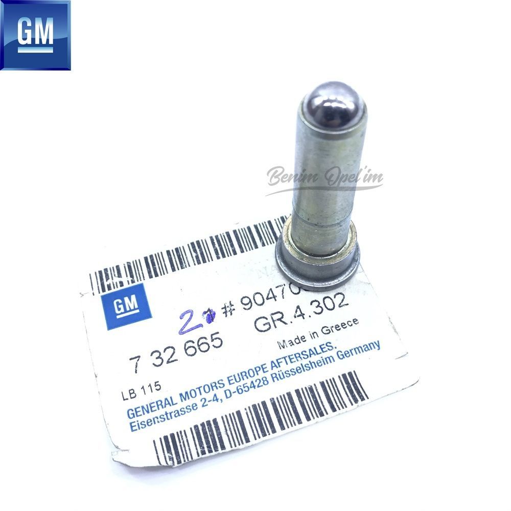 Mekanik Şanzıman | F13 F17 Şanzıman Vites Ayları Sustası GM Orijinal 732665 - 90470662 | 732665 | 