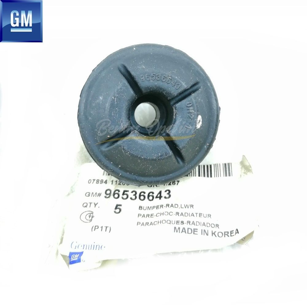 Radyatör Alt Takozu Chevrolet Aveo T200/T250/T255, Kalos, Spark