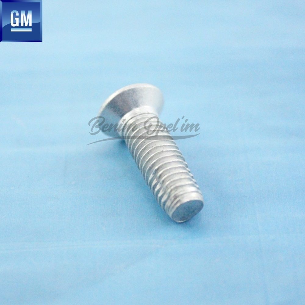 Ayna,Kapı ve Cam | Kapı Kilit Karşılığı On İki Dişli (12) Civatası M8X24 GM Orijinal 158789 - 9175119 | 158789 | 