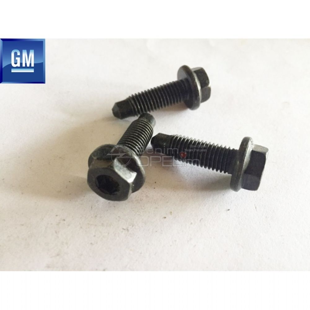 Alet Takımı Ürünleri | M6X22 Civata GM Orijinal | KOD0087 | 