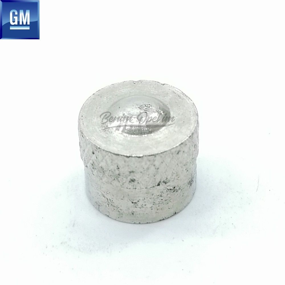 Dış Karoseri ve Kaporta | Metal Lastik Sibop Kapağı Gümüş Opel Astra G H, Tigra A, Corsa B C, İnsignia A, Meriva B, Vectra C, Zafira B GM Orijinal 1010368 - 93190011 | 1010368 | 