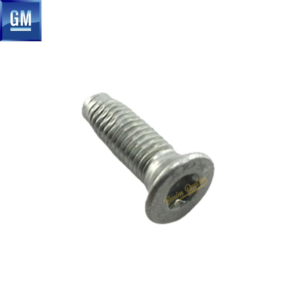 Dış Karoseri ve Kaporta | Ön Tork Vidası Özel M8X25 Opel Astra G H, Corsa C D E, Combo C, Meriva A, Omega B, Tigra B, Vectra C, Zafira A B GM Orijinal 2044654 - 90494564 | 2044654 | 