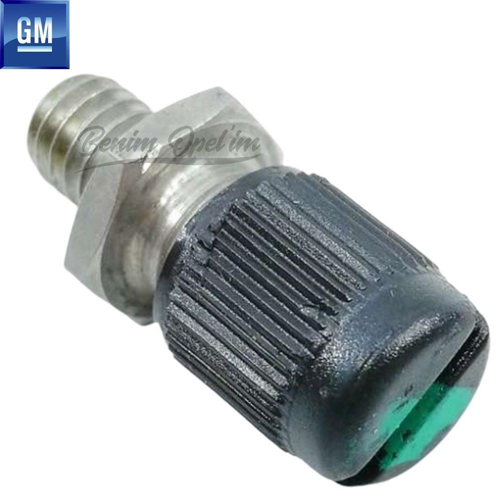 Yakıt ve Egzoz | Opel Chevrolet Enjektör Boru Valfi GM Orijinal 815678 - 90448751 | 815678 | 