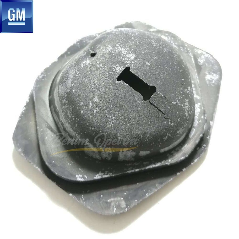 Karoseri İç Trim ve İç Parçalar | Opel Vectra B Kapı Gergi Toz Lastiği GM Orijinal 160003 - 90569016 | 160003 | 