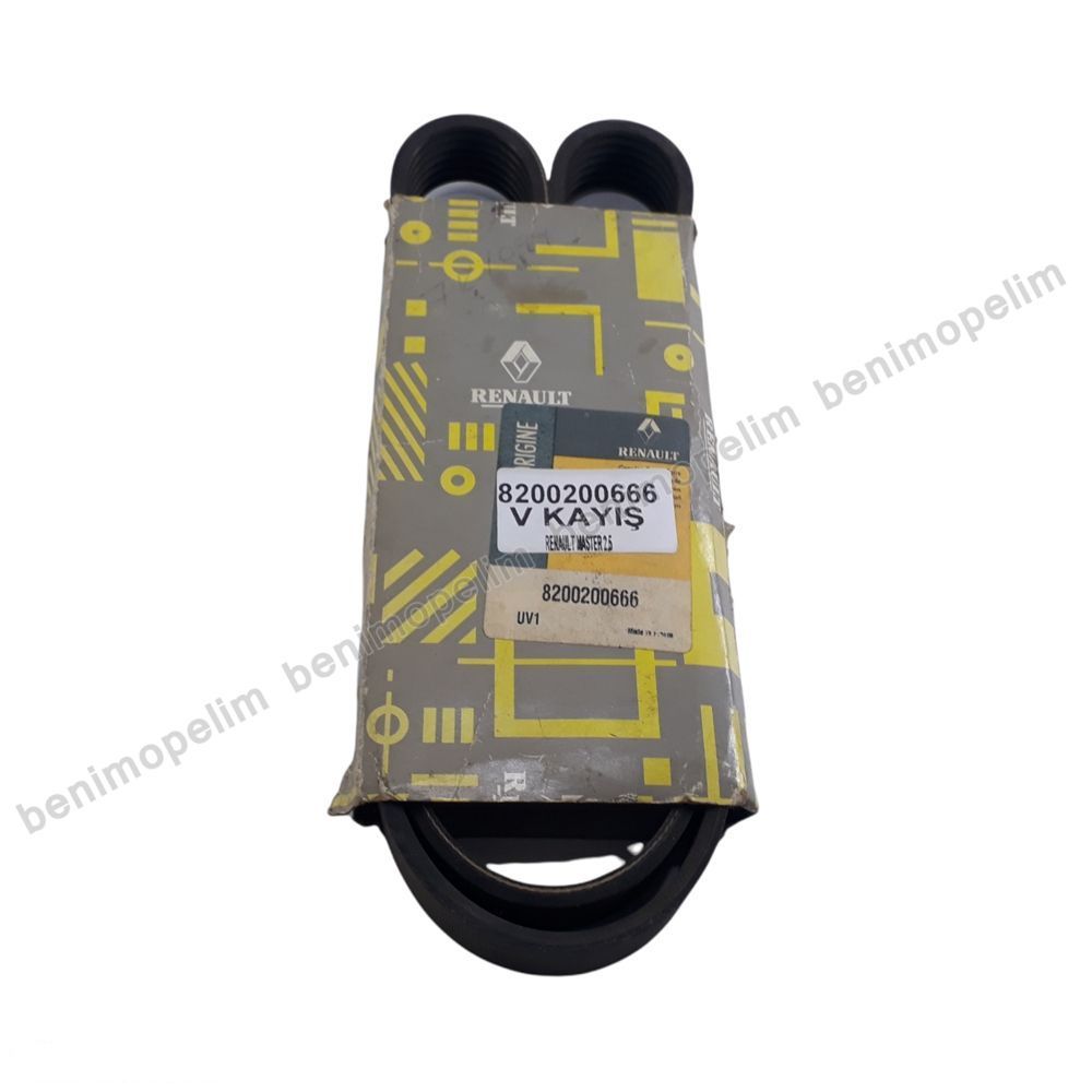 Elektrik | Renault Master, Opel Movano V Kayışı 2.5/2.2 Orijinal 8200200666 - 4405275 | 8200200666 | 