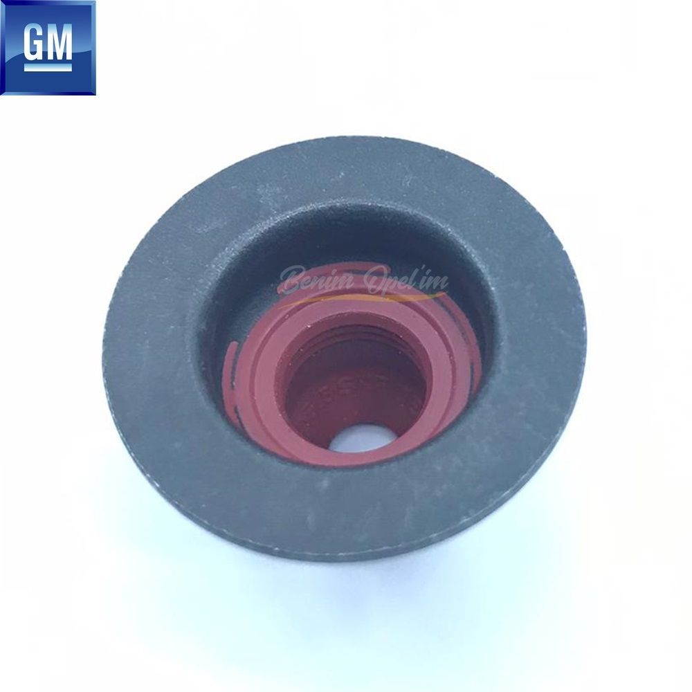 Motor ve Debriyaj | Subap Lastiği 5 Mm Astra G, H, J Insignıa Vectra C Mokka Cruze Aveo Trax Z16XEP, Z16XER, Z16LET, A16XER, A16LET, B16ER GM Orijinal 24405819 - 642002 | 24405819 | 