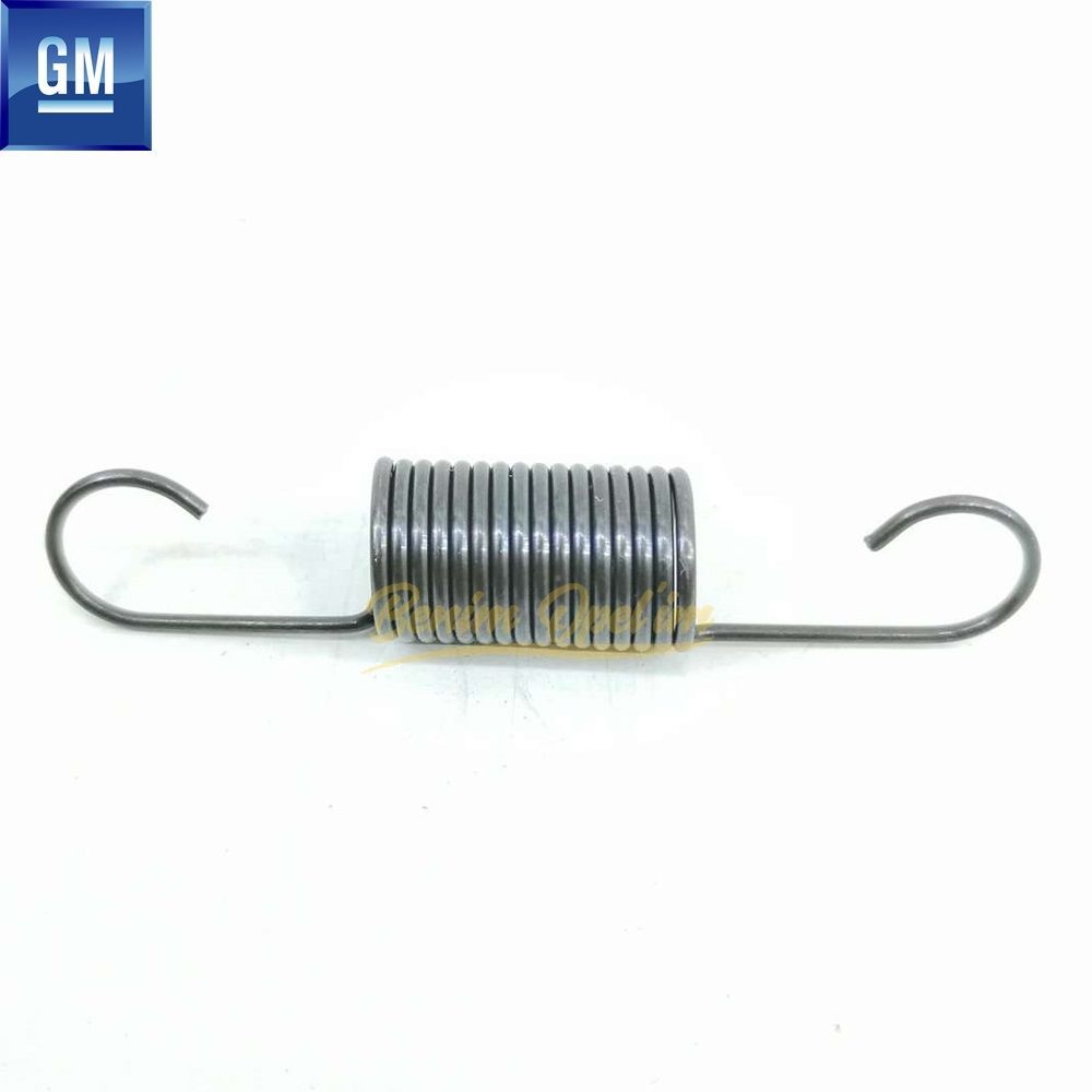 Motor ve Debriyaj | Triger Gergi Yayı 1.2 Chevrolet Aveo, Kalos, Spark GM Orijinal 96325629 | 96325629 | 